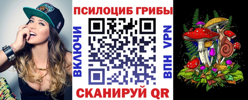 Купить  Хасавюрт  Псилоцибиновые грибы MAGIC MUSHROOMS 